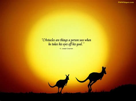 Quotes About Kangaroos 39 Quotes
