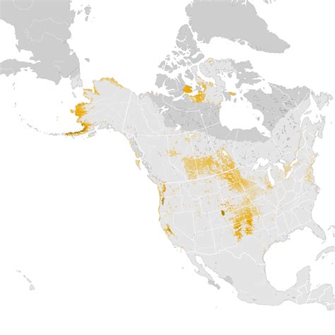 Cackling Goose Abundance Map Post Breeding Migration Ebird Status