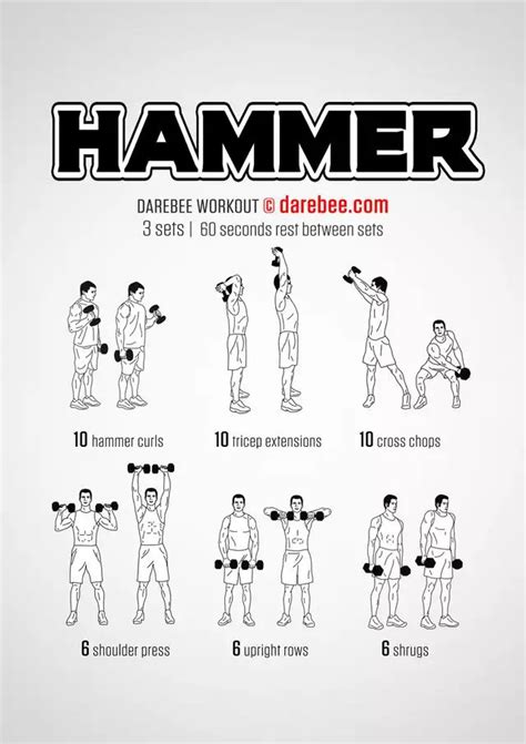 Some upper body and arms workouts in 2020 | Dumbbell workout, Arm