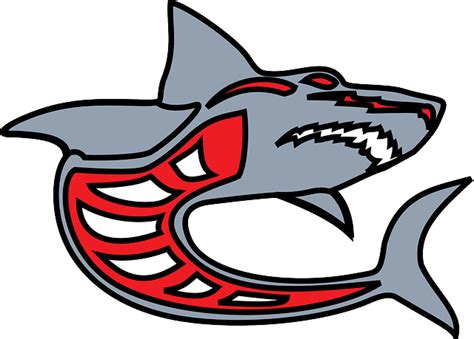 Gambar Ikan Hiu Animasi – Dalam