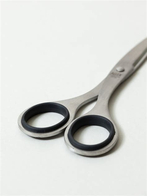 Allex Stainless Steel Scissors