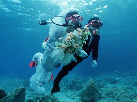 Underwater Bridal Bouquet Buceo Animales Boda