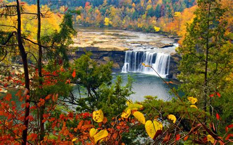 Autumn Waterfall Hd Wallpaper Background Image 2560x1600 Id