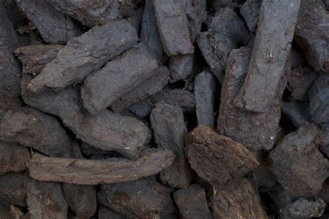 Peat Coal Stock Photos Pictures And Royalty Free Images Istock