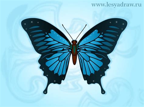 Alle rechte an den grafiken/designs bleiben bei muckkreationen und. Zeichnen Vorlage Malen Schmetterling - Tier Malen