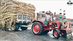 Belarus 520 | Trailer Reverse Performance | Sugarcane loaded | Punjab Tractors