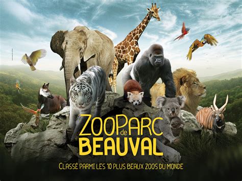 Week-End au Zoo de Beauval 2 Jours – 1 Nuit - SPVA Voyages