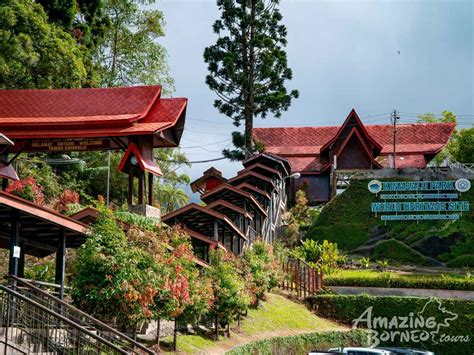 Kinabalu Park And Poring Canopy Walk Tour Amazing Borneo Tours Amazing