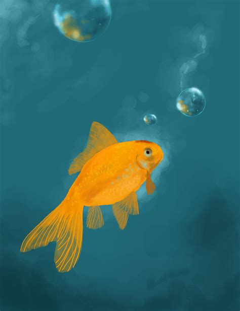 Goldfish By Golden Tetrise On Deviantart