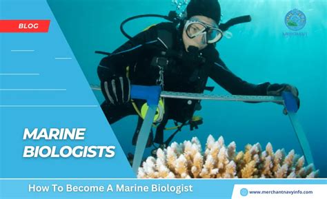 Marine Biologist Guide To Become A Marine Biologist Merchant Navy Info