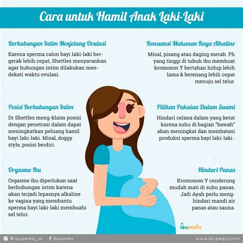 Cara Untuk Hamil Anak Laki Laki Infografis Ibupedia