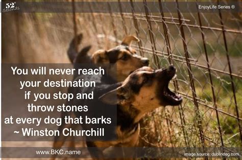 This includes stopping your dog similarly, if your dog barks at people or dogs when out and about, or at visitors coming to the home, a my dog barks when left alone. Let the Dogs Bark - Bernard Kelvin Clive