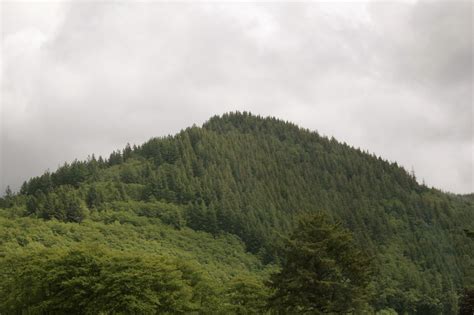 When i was there a month ago he was mentioning on a hike that he would like to get a good plant/flower field guide so he can learn to identify what he sees. Oregon Coast - Where Trees Meet Seas • Motherhood and More