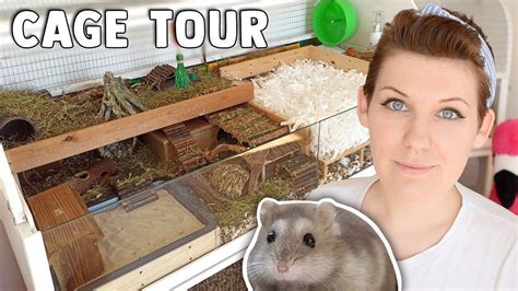Natural Themed Hamster Cage Tour And Inspiration Youtube Hamster