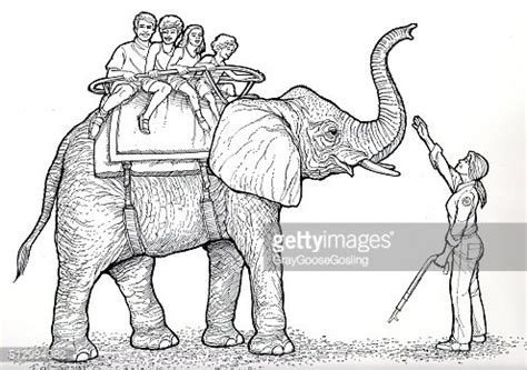Elephant Ride Stock Clipart Royalty Free Freeimages
