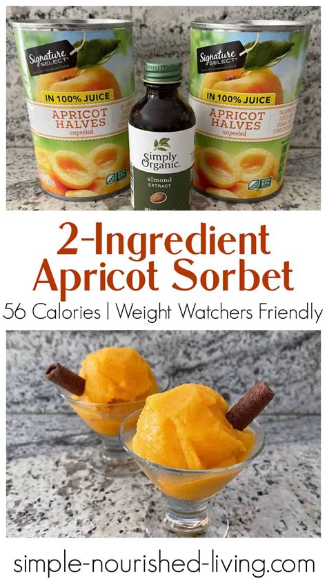 Easy Apricot Sorbet Simple Nourished Living