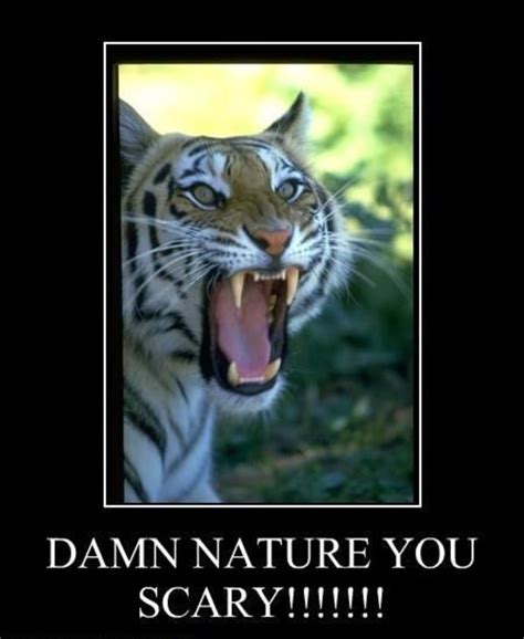 Image 60173 Damn Nature You Scary Know Your Meme