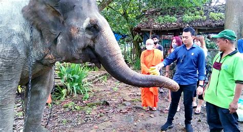 Kondisi Medan Zoo kurang teurus, jadi sorotan anggota dewan