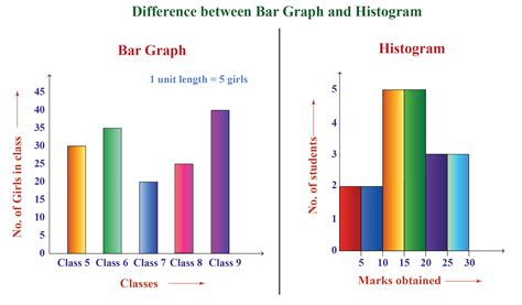 Bar Graph And Histogram Difference Free Table Bar Chart Images And