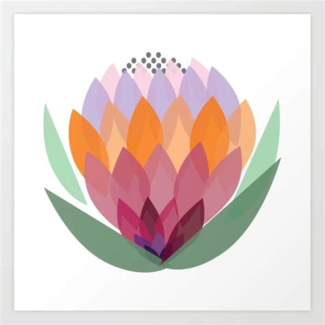 South African King Protea Flower Art Print By Nadeznas Society6