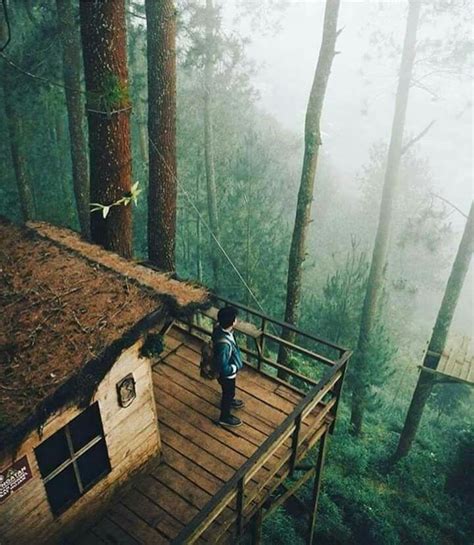 Maybe you would like to learn more about one of these? Pin by NINI on SOUL | Cabins in the woods, Tree house ...