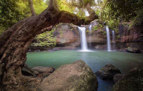 Wallpaper Forest Landscape River Tree Rocks Waterfall Summer