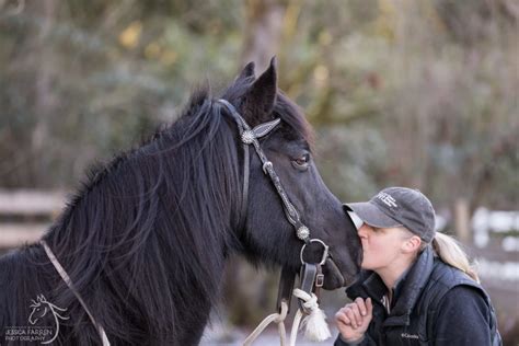 Photos Of Lori And Prince Save A Forgotten Equine Safe
