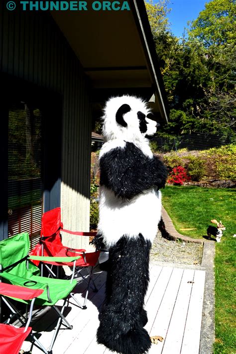 My Panda Fursuit Part 9 — Weasyl