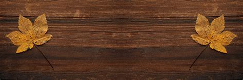 Dark wood, light wood, aged wood — there are over 100 free wood textures in our selection. Free photo: Wood background. - Wooden, Structure, Plank ...