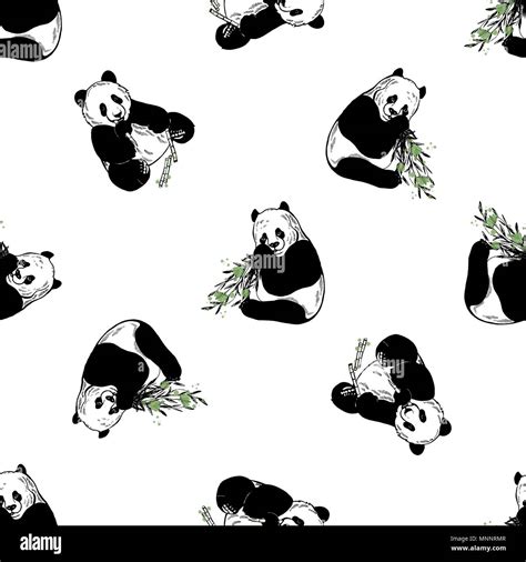 Seamless Pattern Of Hand Drawn Sketch Style Giant Pandas Isolated On