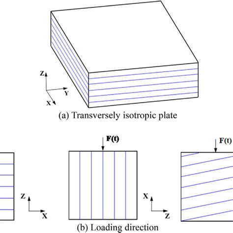 Schematic Diagram For Transversely Isotropic Plate And Loading Download Scientific Diagram
