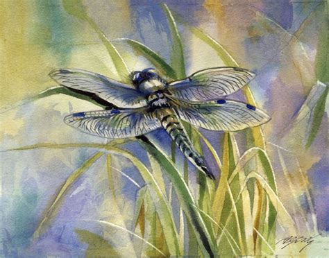 Blue Dragonfly 2015 Watercolour By Alfred Ng Artfinder