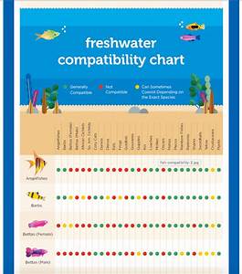 Collecting Aquarium Fish Species Compatibility Charts