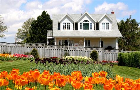 Tulip House Stock Photo Image Of Home Fence Blue Grow 1433926