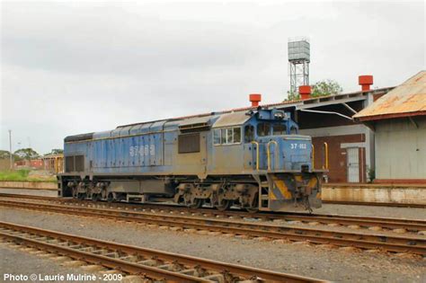 Diesel Train Locomotive Class 37 Photos