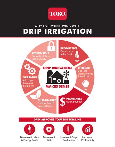Drip Irrigation Infographic The Benefits Of Drip Irrigation