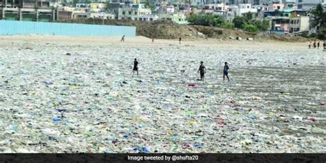 Juhu Beach Turns Into A Sea Of Garbage Courtesy Mumbai Rains News