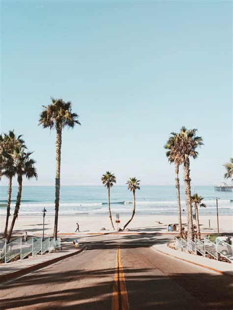 Beach And Palms In Oceanside California Free Domestic Shipping On All