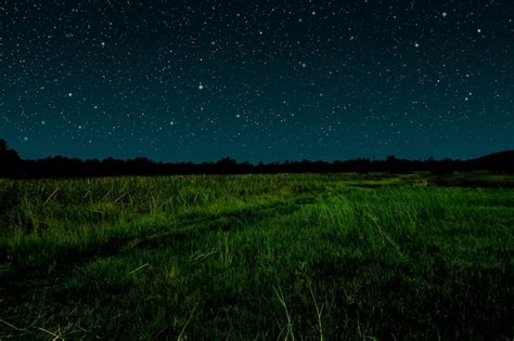 Premium Photo Starry Night In Grassland
