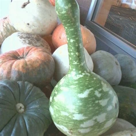 Shop online and get curbside pickup or same day delivery. Cub Foods - Blaine, MN