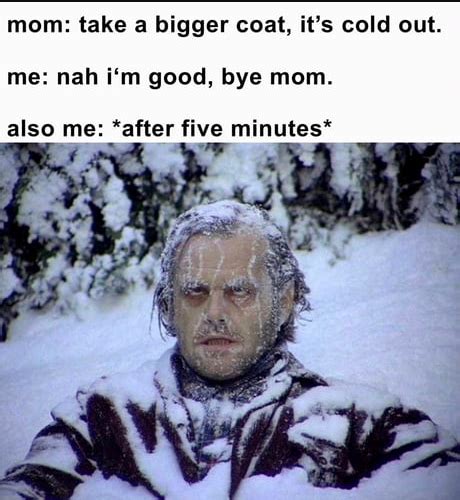 Pin On Snow Memes