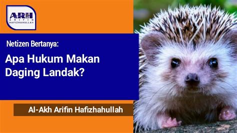 Apa Hukum Makan Daging Landak Youtube