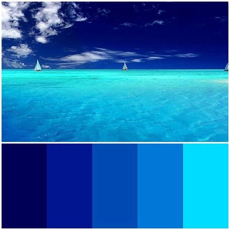 Pin By Blue Shark Diva Designs On Design Inspiration Ocean Color