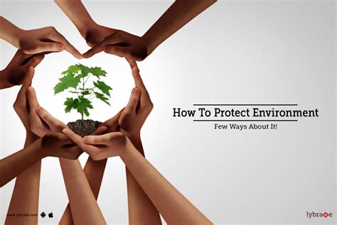 How To Protect Environment Few Ways About It By Dr Sanjeev Kumar