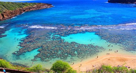 The hanauma bay marine life conservation district is located offshore of the city and county of honolulu's hanauma bay beach park on the hanauma bay has also been designated as a state underwater park of the division of state parks. Hanauma Bay Nature Preserve - Snorkel Adventures on Oahu