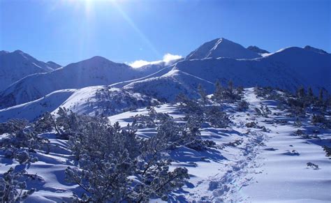 Fotos Gratis Paisaje Naturaleza Nieve Cordillera Clima Temporada