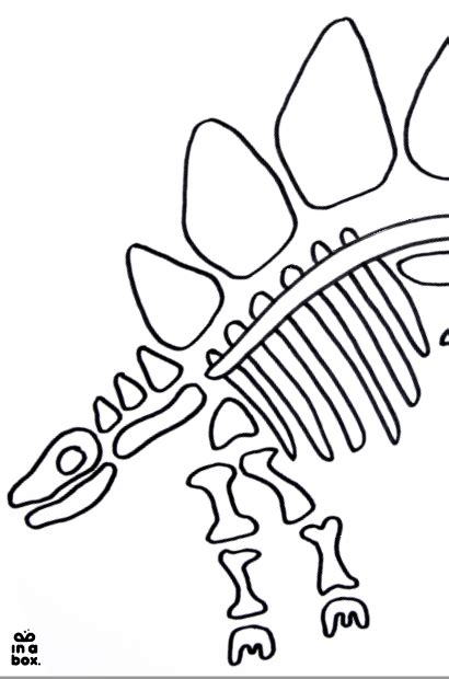 Das skelett wurde knochen für knochen mit realer. Malvorlage Dino Skelett - x13 ein Bild zeichnen