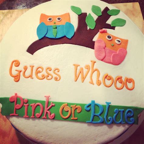 Love This Gender Reveal Cake Gender Reveal Cake Really Like The Owls