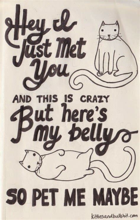 I Suwannee Crazy Cats Crazy Cat Lady Call Me Maybe