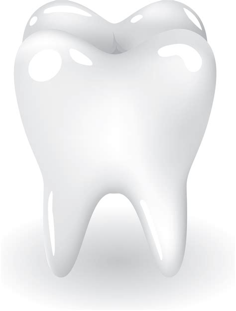 Tooth Teeth Vector Download